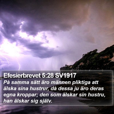 Efesierbrevet 5:28 SV1917 Bible Verse Image