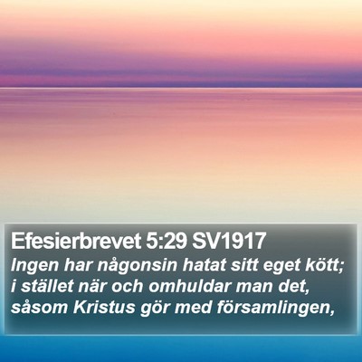 Efesierbrevet 5:29 SV1917 Bible Verse Image