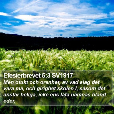 Efesierbrevet 5:3 SV1917 Bible Verse Image
