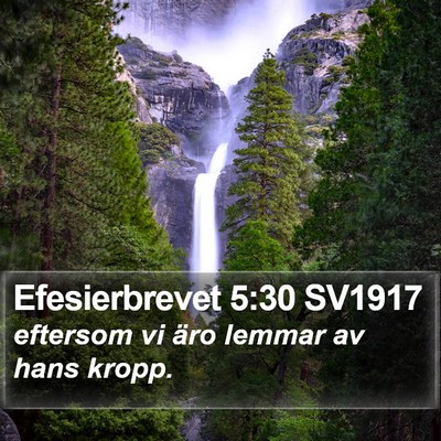Efesierbrevet 5:30 SV1917 Bible Verse Image