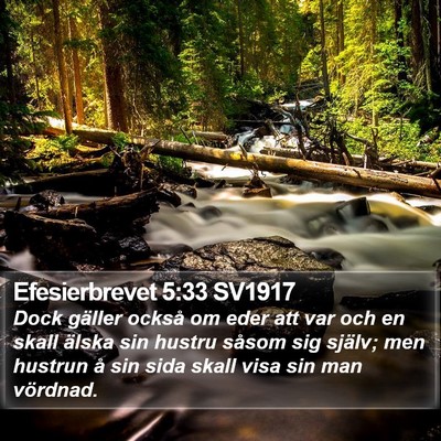 Efesierbrevet 5:33 SV1917 Bible Verse Image