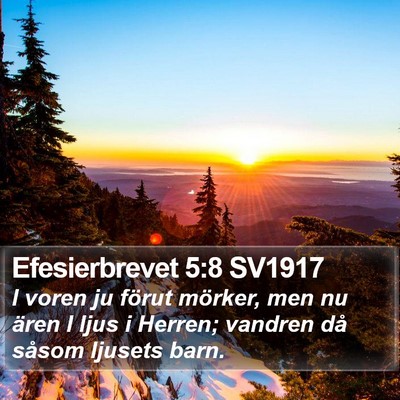 Efesierbrevet 5:8 SV1917 Bible Verse Image