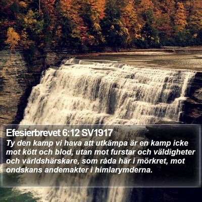 Efesierbrevet 6:12 SV1917 Bible Verse Image