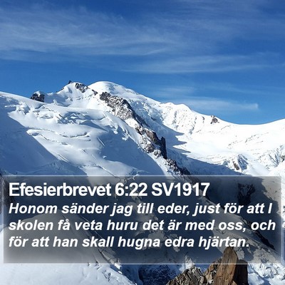 Efesierbrevet 6:22 SV1917 Bible Verse Image