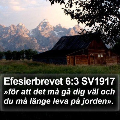 Efesierbrevet 6:3 SV1917 Bible Verse Image
