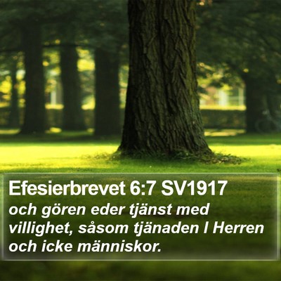 Efesierbrevet 6:7 SV1917 Bible Verse Image