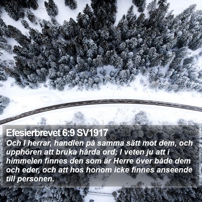 Efesierbrevet 6:9 SV1917 Bible Verse Image