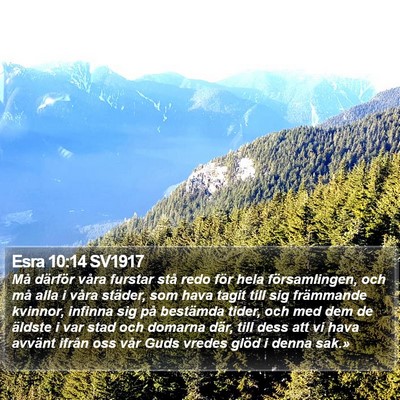 Esra 10:14 SV1917 Bible Verse Image
