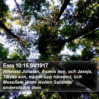 Esra 10:15 SV1917 Bible Verse Image