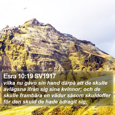 Esra 10:19 SV1917 Bible Verse Image