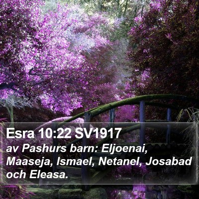 Esra 10:22 SV1917 Bible Verse Image