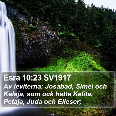 Esra 10:23 SV1917 Bible Verse Image