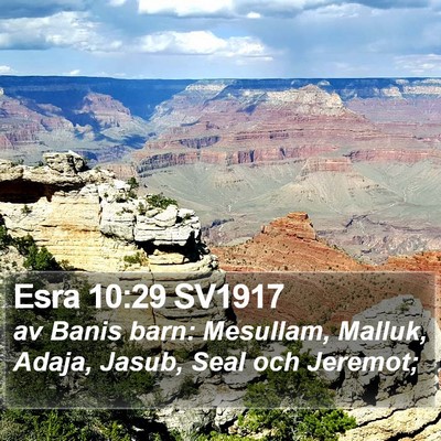 Esra 10:29 SV1917 Bible Verse Image