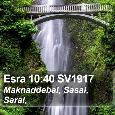 Esra 10:40 SV1917 Bible Verse Image