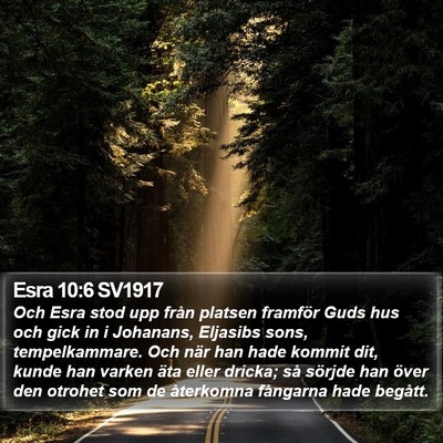 Esra 10:6 SV1917 Bible Verse Image