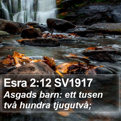 Esra 2:12 SV1917 Bible Verse Image