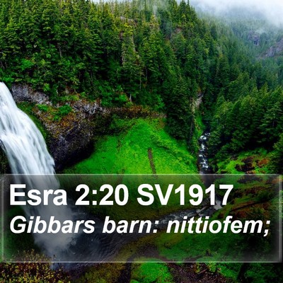 Esra 2:20 SV1917 Bible Verse Image