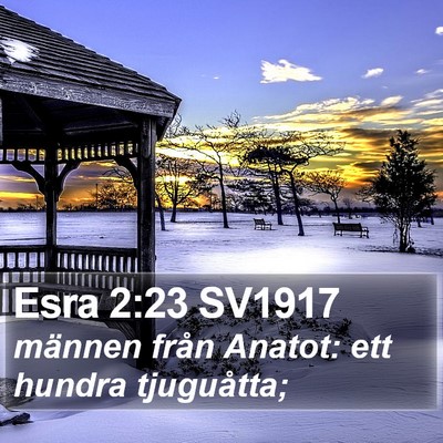 Esra 2:23 SV1917 Bible Verse Image