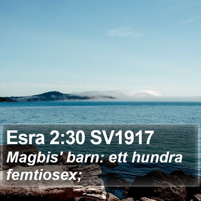 Esra 2:30 SV1917 Bible Verse Image