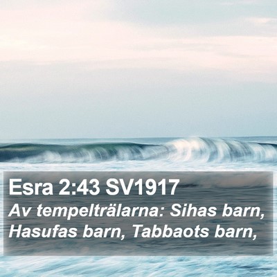 Esra 2:43 SV1917 Bible Verse Image