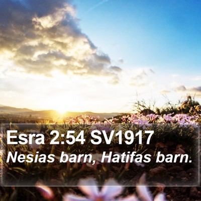 Esra 2:54 SV1917 Bible Verse Image