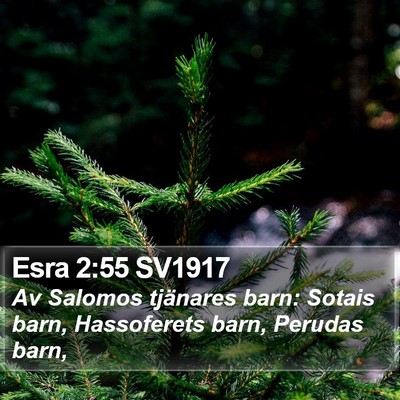 Esra 2:55 SV1917 Bible Verse Image