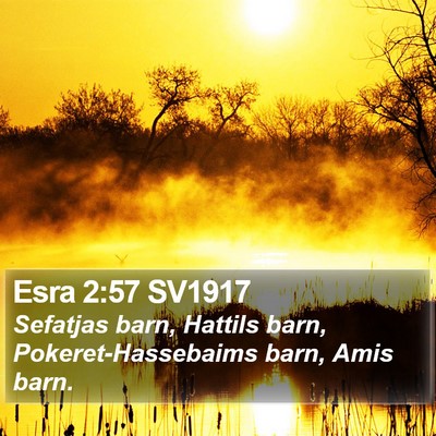 Esra 2:57 SV1917 Bible Verse Image