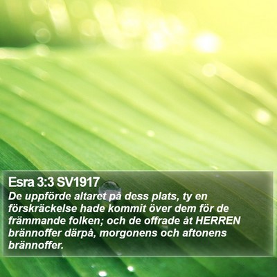 Esra 3:3 SV1917 Bible Verse Image