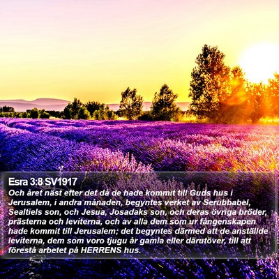 Esra 3:8 SV1917 Bible Verse Image