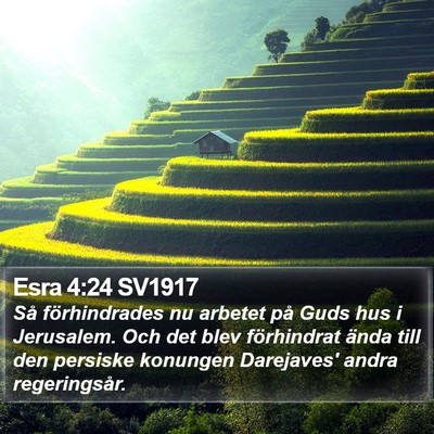 Esra 4:24 SV1917 Bible Verse Image
