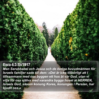 Esra 4:3 SV1917 Bible Verse Image