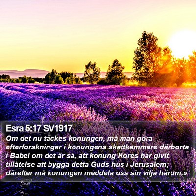 Esra 5:17 SV1917 Bible Verse Image