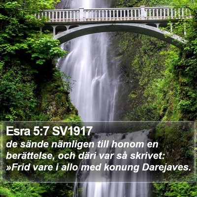 Esra 5:7 SV1917 Bible Verse Image