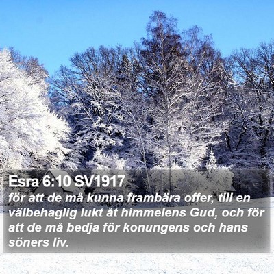 Esra 6:10 SV1917 Bible Verse Image