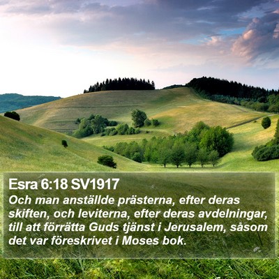 Esra 6:18 SV1917 Bible Verse Image