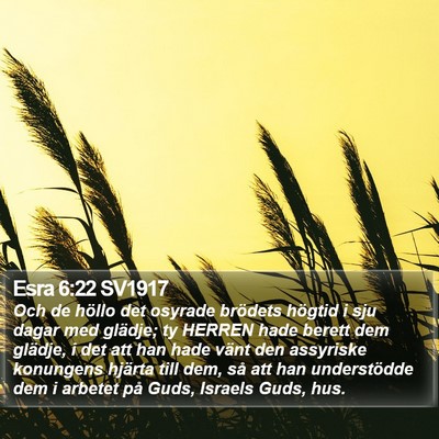 Esra 6:22 SV1917 Bible Verse Image