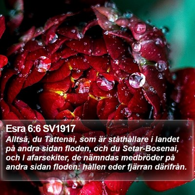 Esra 6:6 SV1917 Bible Verse Image