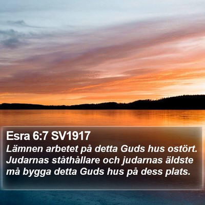 Esra 6:7 SV1917 Bible Verse Image