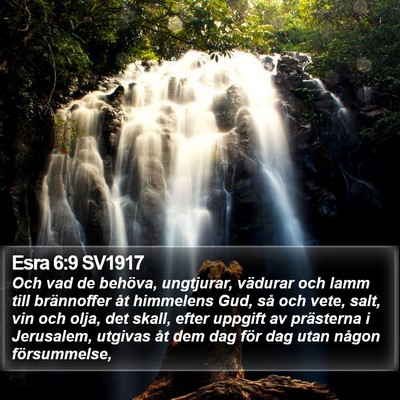 Esra 6:9 SV1917 Bible Verse Image