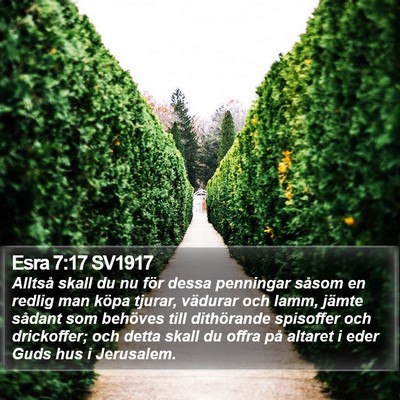 Esra 7:17 SV1917 Bible Verse Image