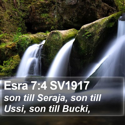 Esra 7:4 SV1917 Bible Verse Image