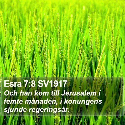 Esra 7:8 SV1917 Bible Verse Image