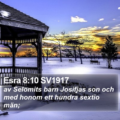 Esra 8:10 SV1917 Bible Verse Image