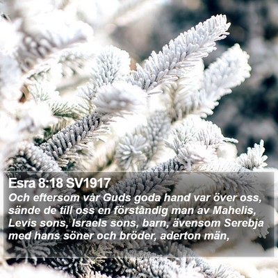 Esra 8:18 SV1917 Bible Verse Image