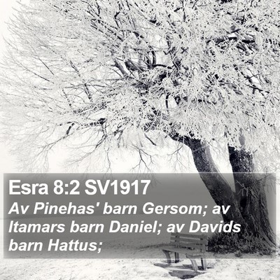 Esra 8:2 SV1917 Bible Verse Image