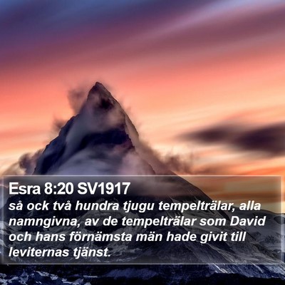 Esra 8:20 SV1917 Bible Verse Image
