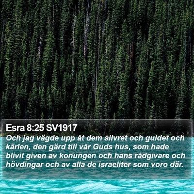 Esra 8:25 SV1917 Bible Verse Image