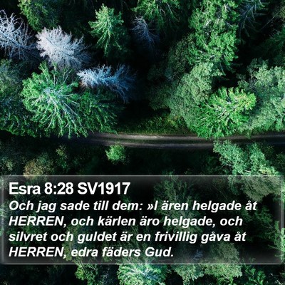 Esra 8:28 SV1917 Bible Verse Image
