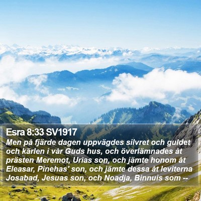 Esra 8:33 SV1917 Bible Verse Image