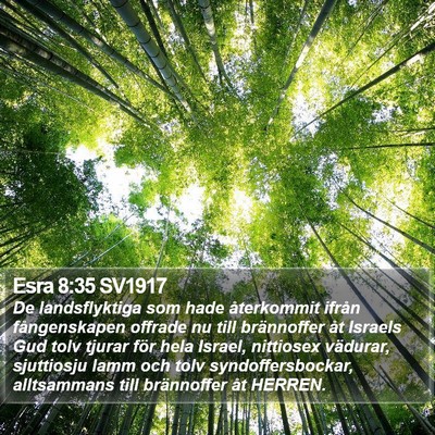Esra 8:35 SV1917 Bible Verse Image